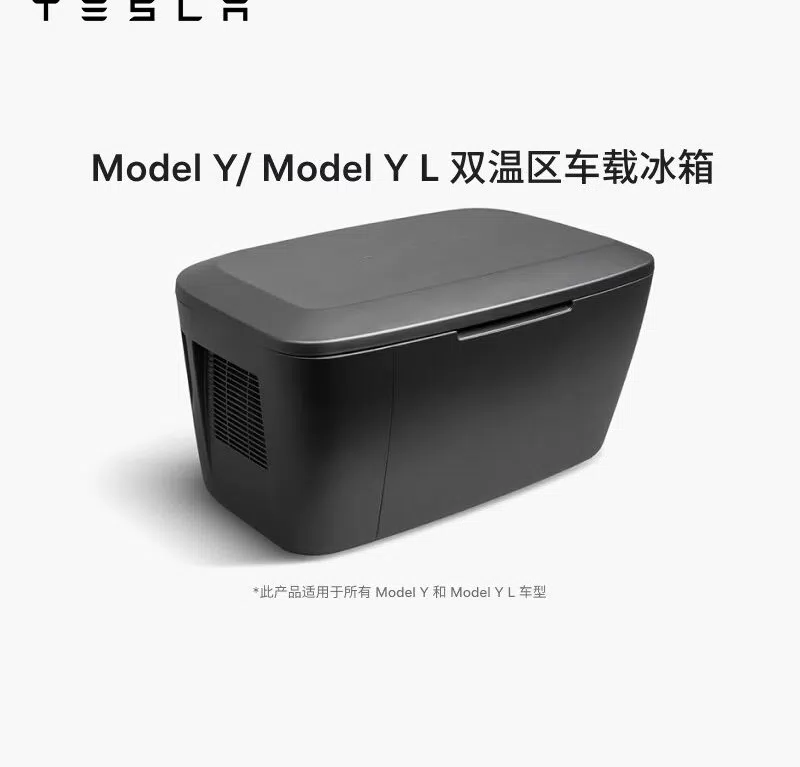 Model Y